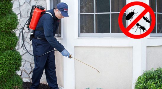 Düzce Bit İlaçlama böcek ilaçlama ve haşere kontrolü — ilaclama-tr.com